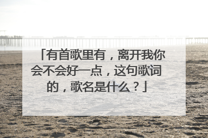 有首歌里有，离开我你会不会好一点，这句歌词的，歌名是什么？