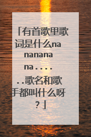 有首歌里歌词是什么nanananana......歌名和歌手都叫什么呀？