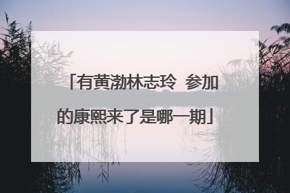 有黄渤林志玲 参加的康熙来了是哪一期