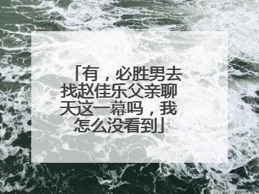 有,必胜男去找赵佳乐父亲聊天这一幕吗,我怎么没看到