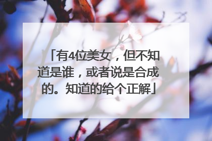 有4位美女，但不知道是谁，或者说是合成的。知道的给个正解