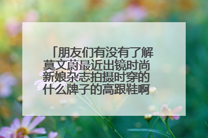 朋友们有没有了解莫文蔚最近出镜时尚新娘杂志拍摄时穿的什么牌子的高跟鞋啊？看着真好看