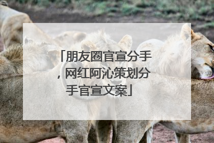 朋友圈官宣分手，网红阿沁策划分手官宣文案