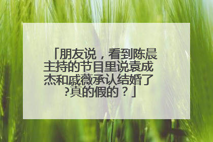 朋友说,看到陈晨主持的节目里说袁成杰和戚薇承认结婚了?真的假的?
