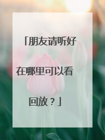 朋友请听好在哪里可以看回放?