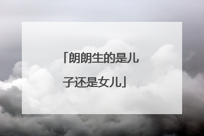 朗朗生的是儿子还是女儿