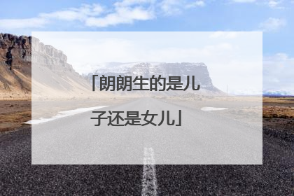 朗朗生的是儿子还是女儿