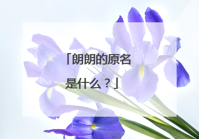 朗朗的原名是什么?