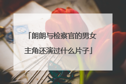 朗朗与检察官的男女主角还演过什么片子