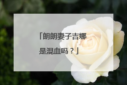 朗朗妻子吉娜是混血吗？