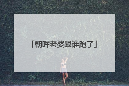 朝晖老婆跟谁跑了