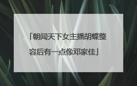 朝闻天下女主播胡蝶整容后有一点像邓家佳