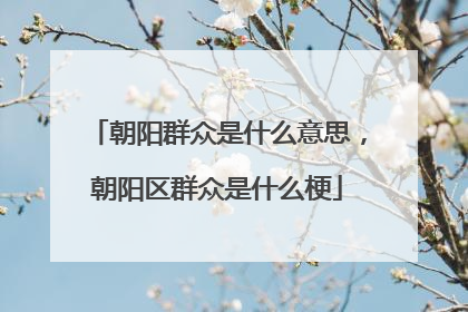朝阳群众是什么意思,朝阳区群众是什么梗
