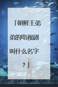 朝鲜王弟弟的电视剧叫什么名字？