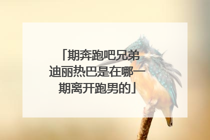 期奔跑吧兄弟 迪丽热巴是在哪一期离开跑男的