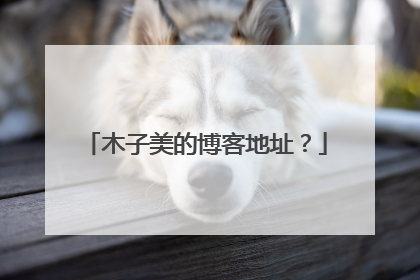 木子美的博客地址？