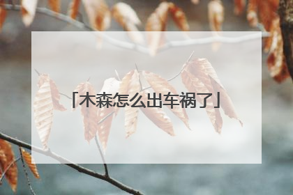 木森怎么出车祸了