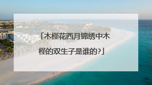 木槿花西月锦绣中木槿的双生子是谁的?