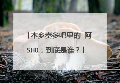 本乡奏多吧里的 阿SHO，到底是谁？