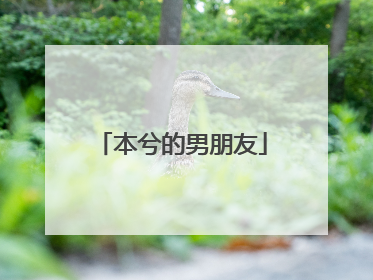 本兮的男朋友