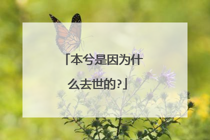 本兮是因为什么去世的?