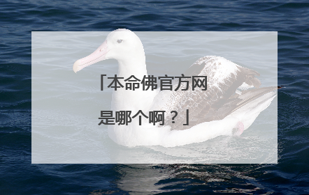 本命佛官方网是哪个啊?