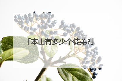 本山有多少个徒弟?
