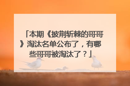 本期《披荆斩棘的哥哥》淘汰名单公布了,有哪些哥哥被淘汰了?