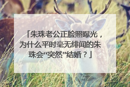 朱珠老公正脸照曝光,为什么平时毫无绯闻的朱珠会“突然”结婚?