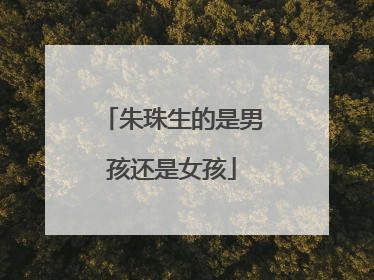 朱珠生的是男孩还是女孩