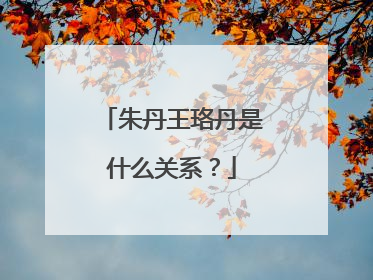 朱丹王珞丹是什么关系？