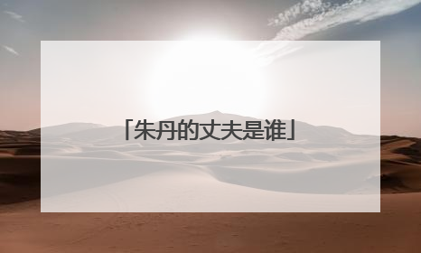 朱丹的丈夫是谁