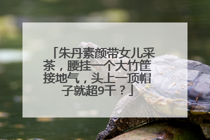 朱丹素颜带女儿采茶，腰挂一个大竹筐接地气，头上一顶帽子就超9千？