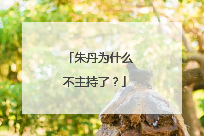 朱丹为什么不主持了？