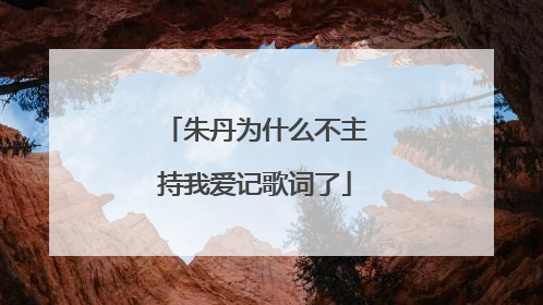 朱丹为什么不主持我爱记歌词了