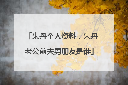 朱丹个人资料，朱丹老公前夫男朋友是谁