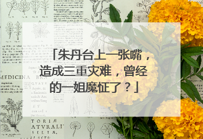 朱丹台上一张嘴,造成三重灾难,曾经的一姐魔怔了?