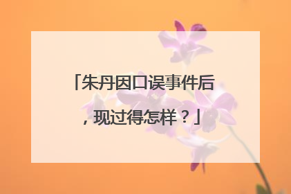 朱丹因口误事件后,现过得怎样?