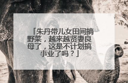 朱丹带儿女田间摘野菜，越来越贤妻良母了，这是不计划搞事业了吗？