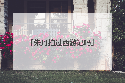 朱丹拍过西游记吗