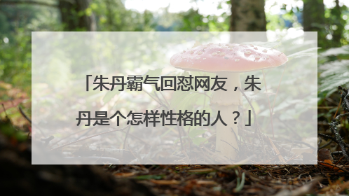朱丹霸气回怼网友,朱丹是个怎样性格的人?
