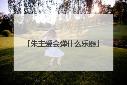 朱主爱会弹什么乐器