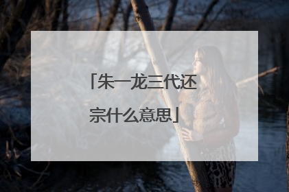 朱一龙三代还宗什么意思