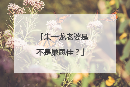 朱一龙老婆是不是廉思佳？