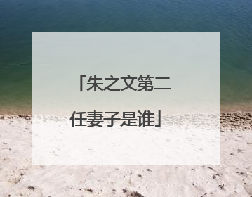 朱之文第二任妻子是谁