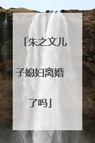 朱之文儿子媳妇离婚了吗