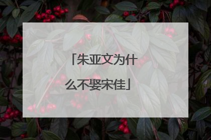 朱亚文为什么不娶宋佳