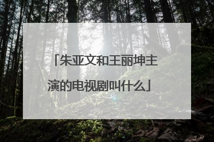 朱亚文和王丽坤主演的电视剧叫什么