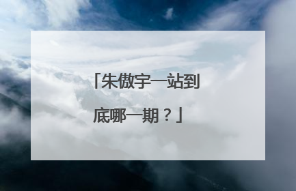 朱傲宇一站到底哪一期?