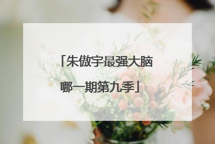 朱傲宇最强大脑哪一期第九季